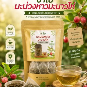 ชาใบมะม่วงมะม่วงหาวมะนาวโห่