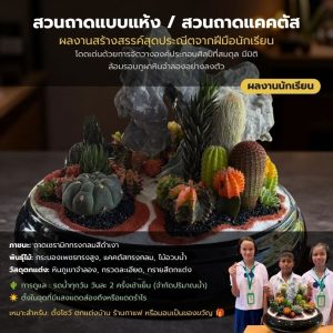 สวนถาดแบบแห้ง/สวนถาดแคคตัส