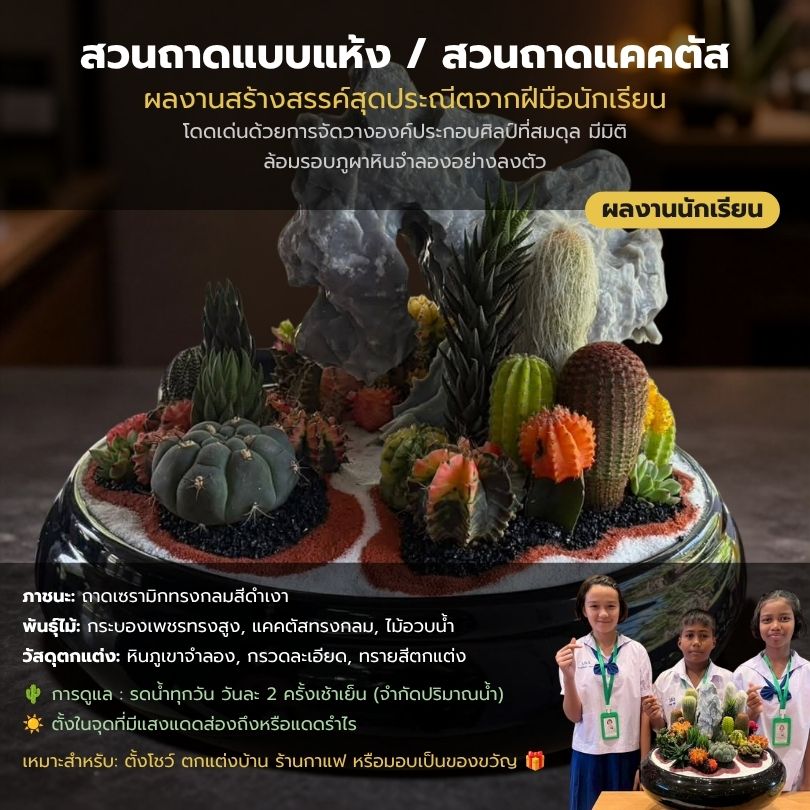 สวนถาดแบบแห้ง/สวนถาดแคคตัส